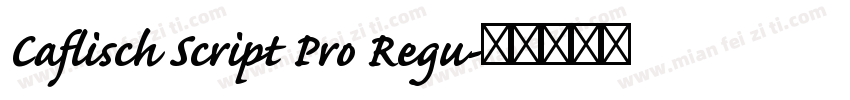 Caflisch Script Pro Regu字体转换